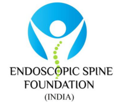 Endoscopic Spine Foundation